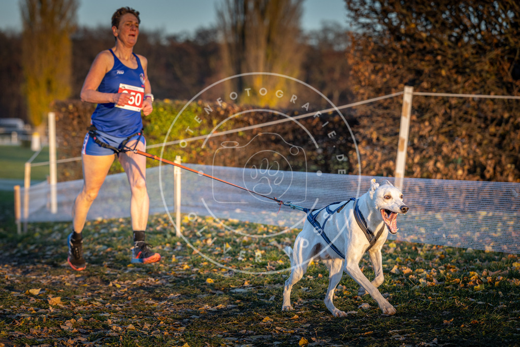 CaniXpix_DV3A5602 | Hundefotografie, Tierfotograf, Pfotenfotografie, Fotoshooting Hund, Hunde Portrait, Hundesport, Hundeportraits, Heideshooting, Hunde, Sportfotograf, Hundefotograf, Turnierhundsport, THS,  - Realisiert mit Pictrs.com