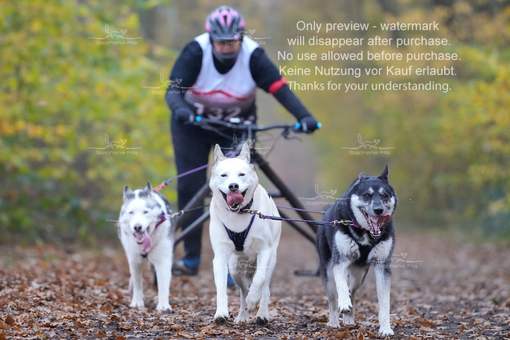 AusschnitteSo-8 | stephaniefillaphotographie - Realisiert mit Pictrs.com