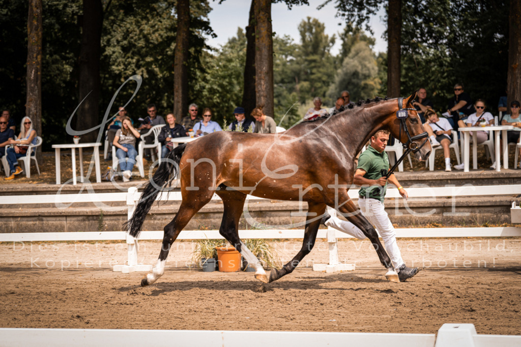 2. Fr00133 | Leoni Ertmer Photography - Realisiert mit Pictrs.com