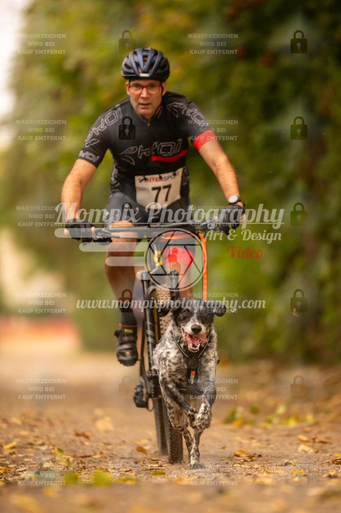 CDLBDB_14_10_2023_Samedi-108 | mompixphotography