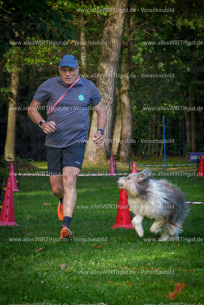 THS_Turnier_27-09-2026-allesWIRTHgut_Tierfotografie-7R506065 | Professionelle Tierfotografie in Mönchengladbach von Daniel Wirth (allesWIRTHgut). Liebevolle & natürliche Bilder von Hunden & Katzen für unvergessliche Erinnerungen.