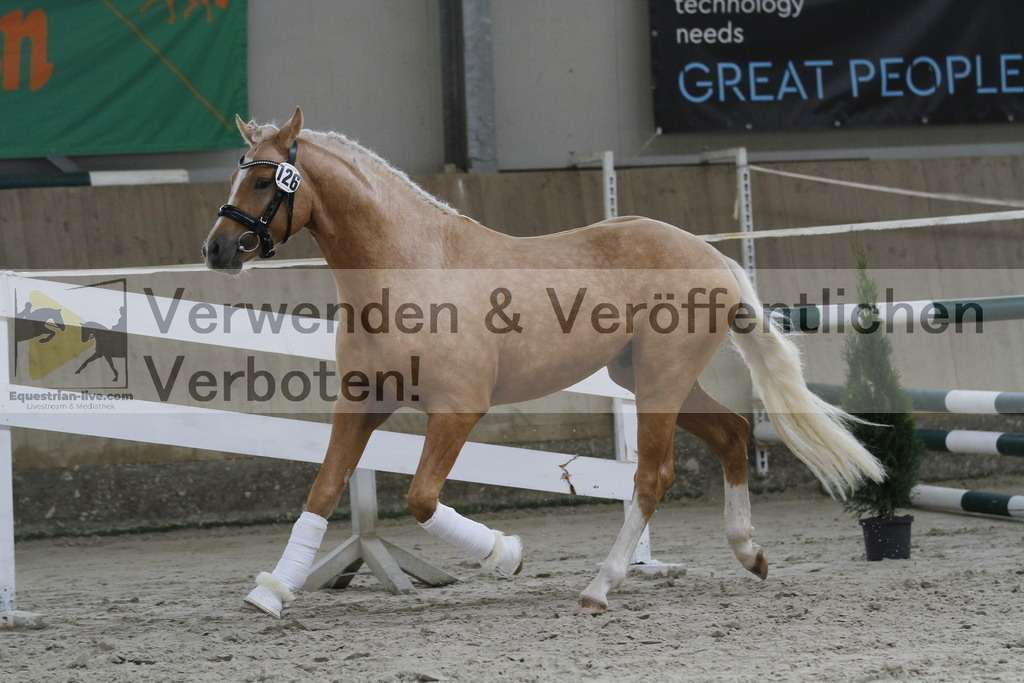 _MG_9772 | equestrian-live-com