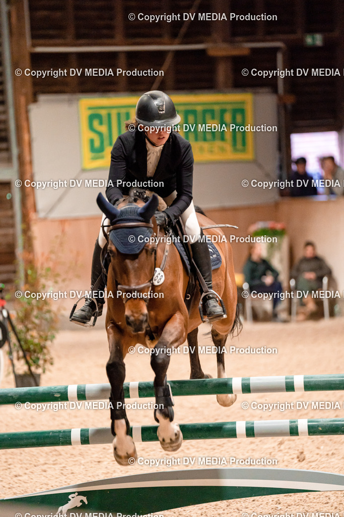 Springen Tag 1-378 | dv-media-shop - Realisiert mit Pictrs.com