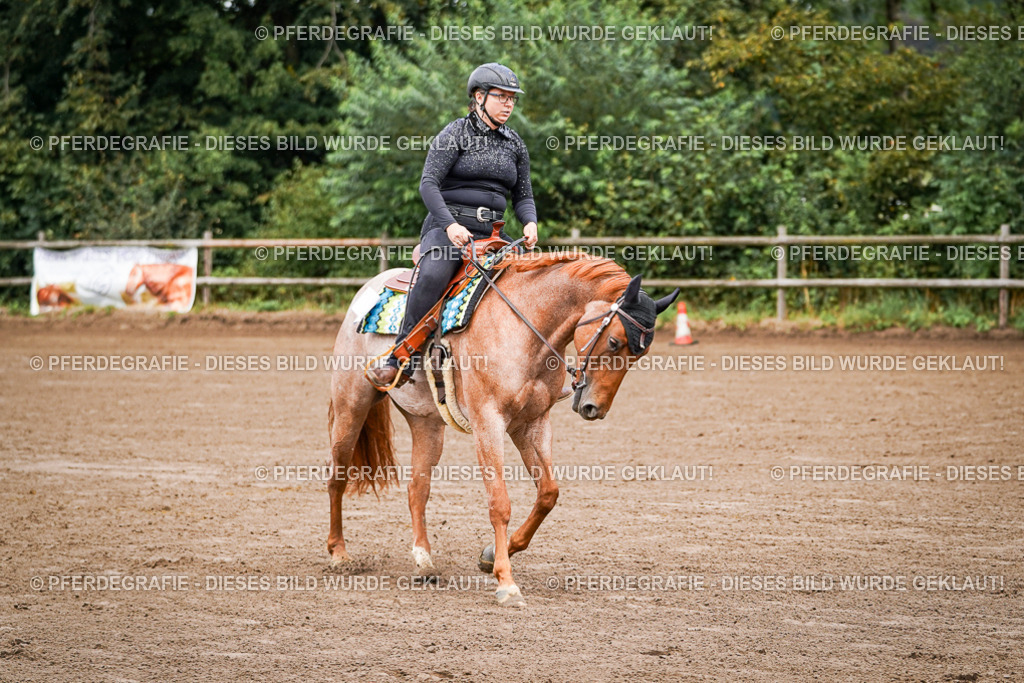 DSC05641 | Pferdegrafie