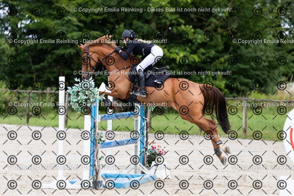 CL5A0925 | Emilia Reinking Fotografie - Realisiert mit Pictrs.com