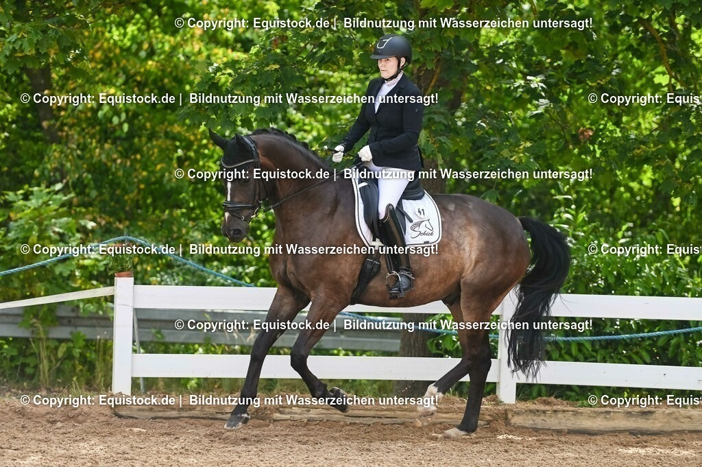 20230715_07_Dressurpferdeprfg. Kl.L_0122 | equistock