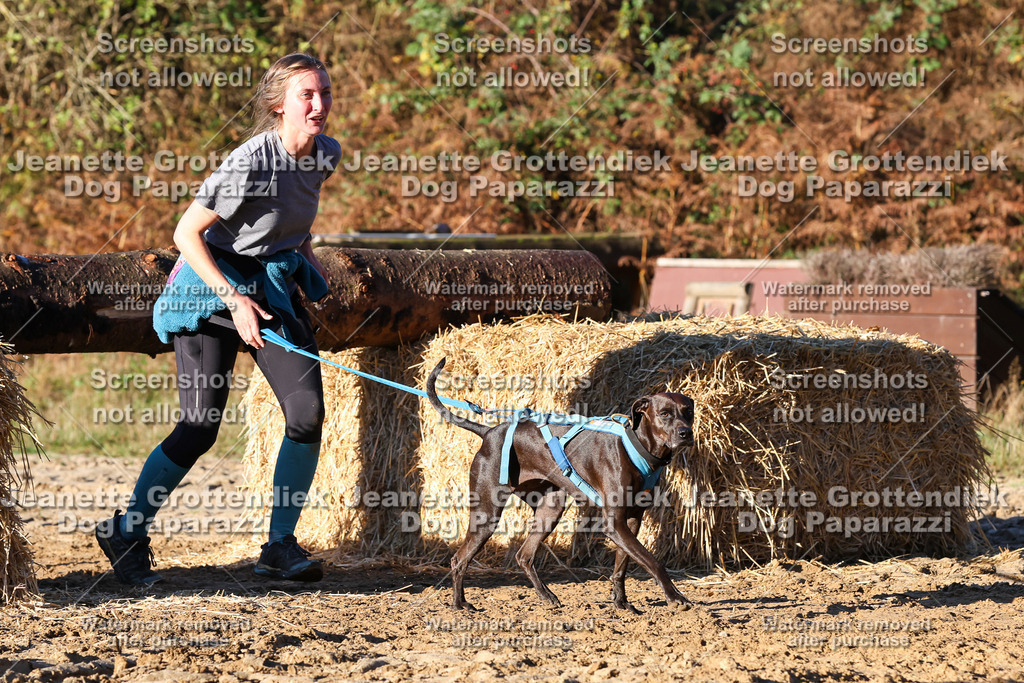 Dog Paparazzi - Strongdog 10-25-1222 | Dog Paparazzi Jeanette Grottendiek Fotografie & Videografie - Realisiert mit Pictrs.com