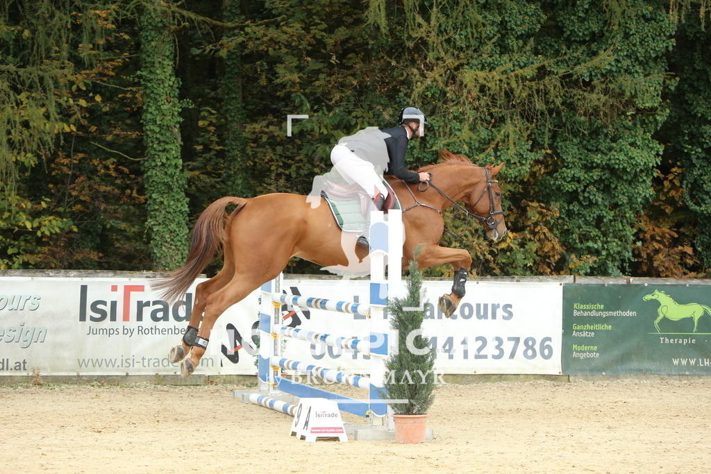 DL2Q6802 | Willkommen bei Brunnmayr - Design & Fotografie – Ihrem Spezialisten für Reitturniere und Pferdeveranstaltungen in Oberösterreich, Salzburg und Bayern! Seit über 17 Jahren sind wir leidenschaftlich dabei.