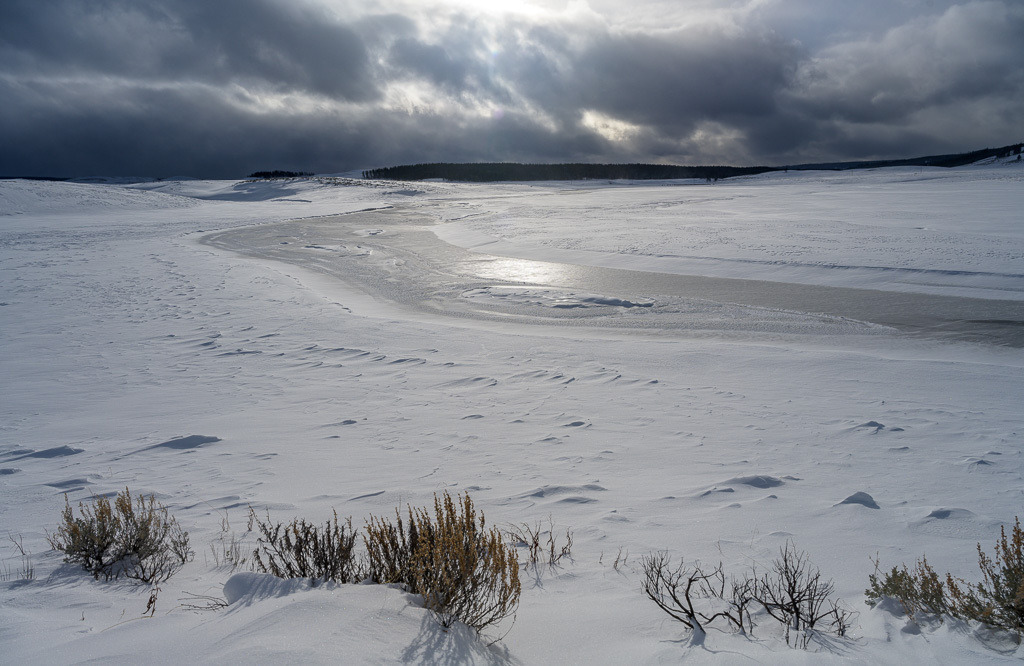 2024-111 | Hayden Valley. - Realisiert mit Pictrs.com