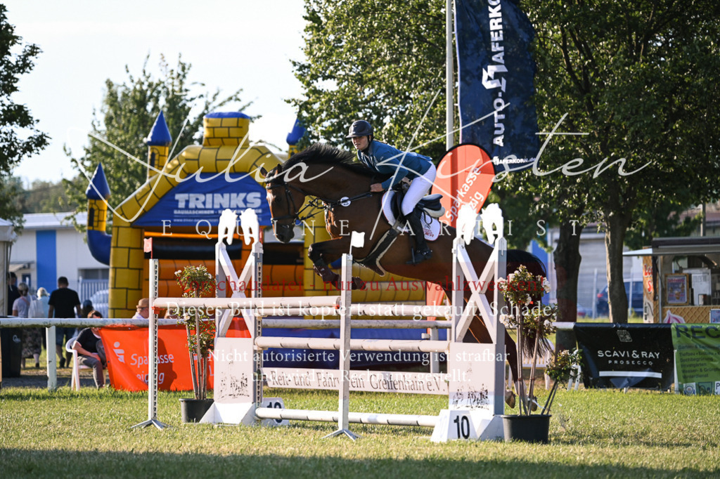DSC_1788 | Pferde- und Turnierfotografie in Westsachsen. Pferdeportraits, Auftragszeichnungen und intuitive Kunst.