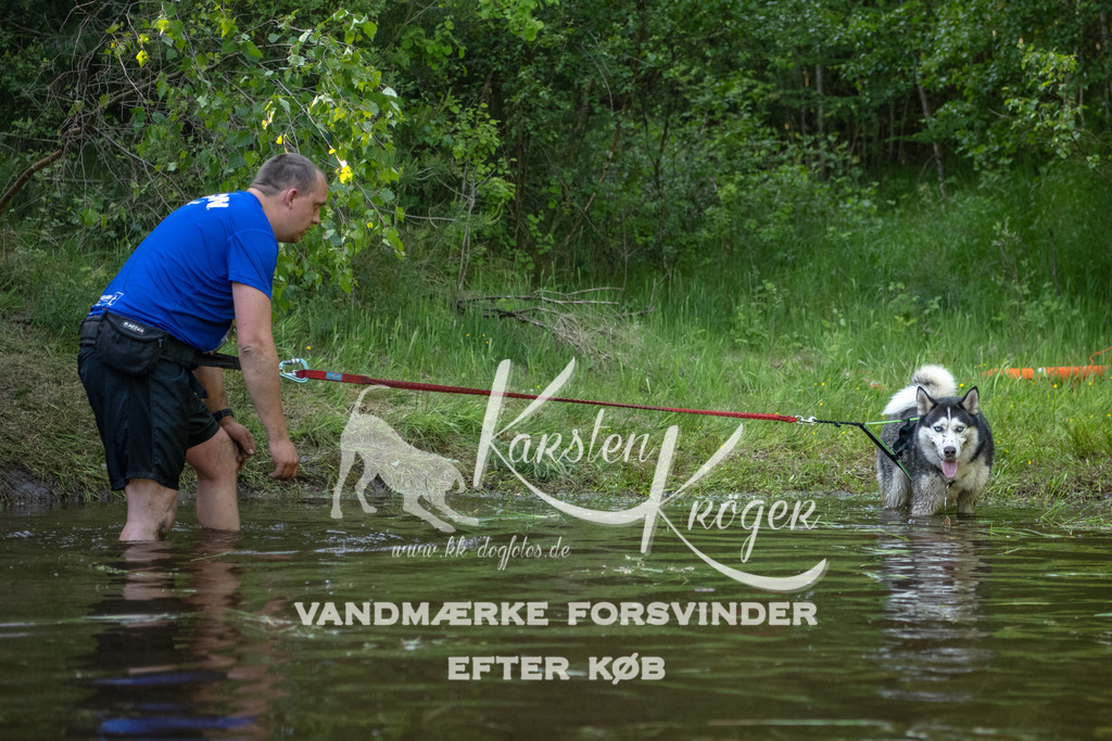 1758DKK993061 | kk-dogfotos