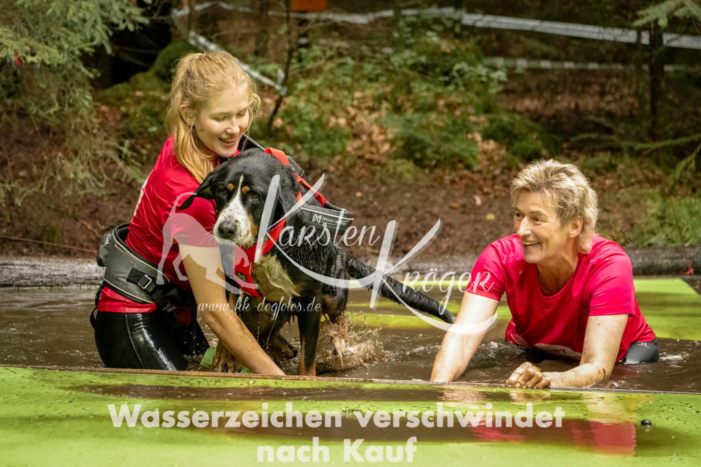 1214_ZZ93265-Bearbeitet | kk-dogfotos