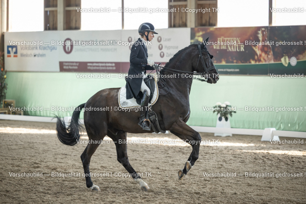 _D5A0309 | Emotionale Pferde- & People-Fotografie rund um Heidelberg, Leimen & Umgebung. Natürliche Fotos von Pferd, Mensch & Familie. Jetzt Termin sichern!