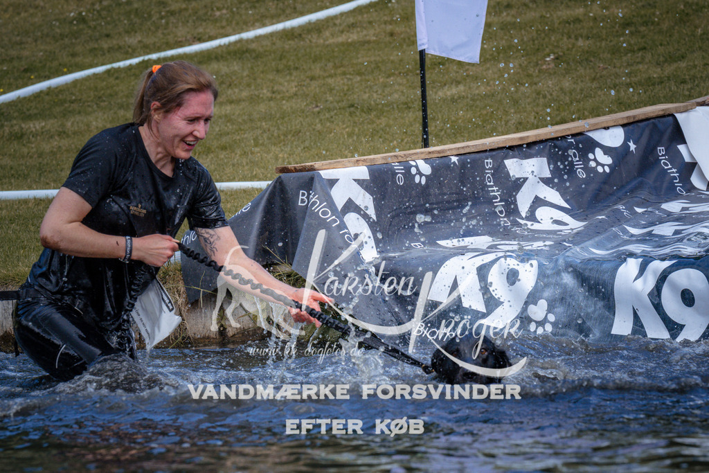 _ZZ944700958 | kk-dogfotos