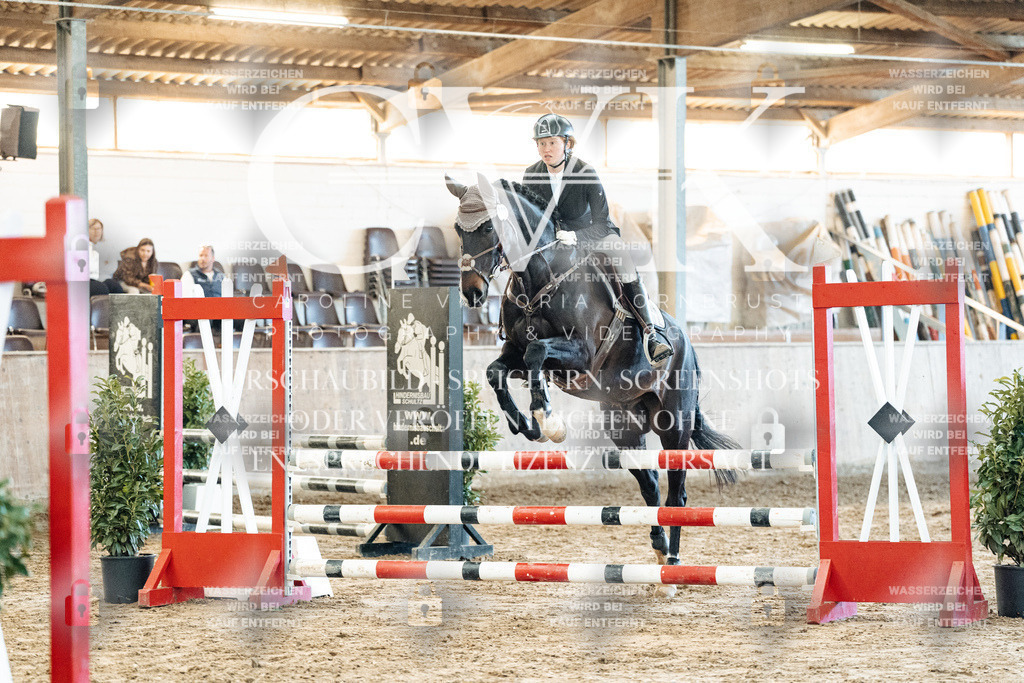 CK904168 | Turnierfotografie Pferdefotografie Trier Rheinland-Pfalz Pferdesport Reitsport Tierfotografie Sportfotografie Pferdevideo Pferdevideografie Equestrianvideography equestrianphotography  - Realized with Pictrs.com