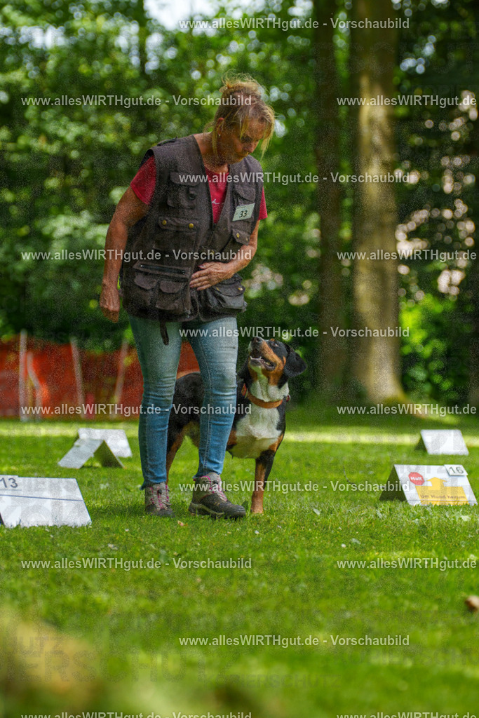 @allesWIRTHgut_Tierfotografie - www.allesWIRTHgut.de - 7R504599 | Professionelle Tierfotografie in Mönchengladbach von Daniel Wirth (allesWIRTHgut). Liebevolle & natürliche Bilder von Hunden & Katzen für unvergessliche Erinnerungen.