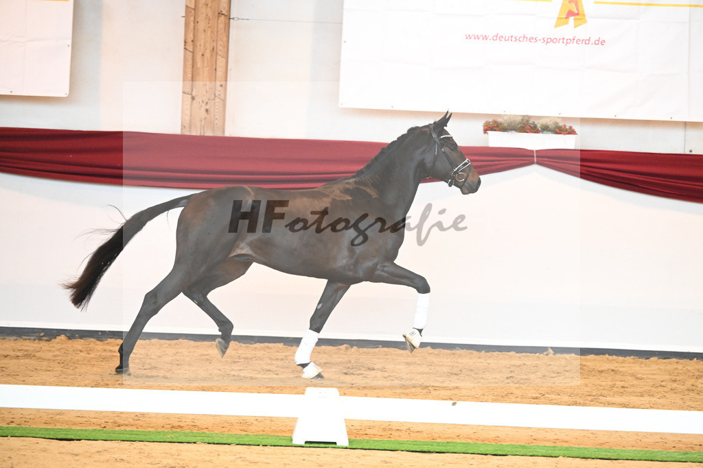 Kat-Nr. 40 v. Lord Europe_Bergmann_66221886 | hf-fotografie - Realisiert mit Pictrs.com