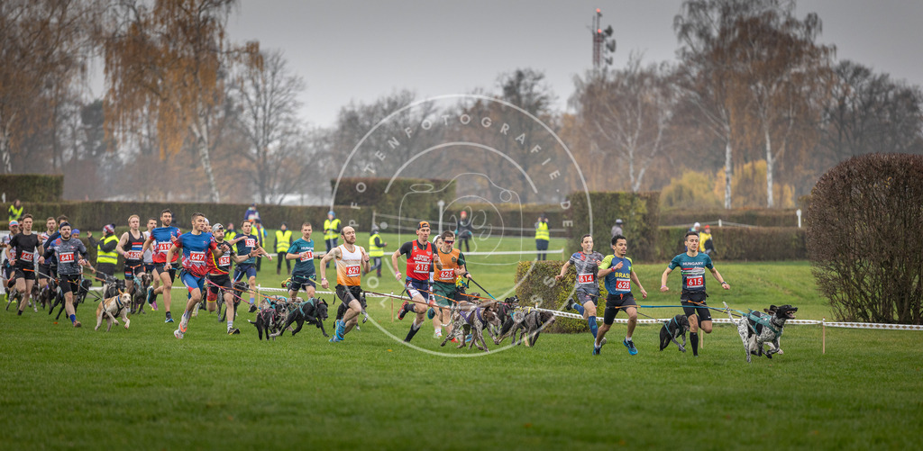 CaniXpix_DV3A9429 | Hundefotografie, Tierfotograf, Pfotenfotografie, Fotoshooting Hund, Hunde Portrait, Hundesport, Hundeportraits, Heideshooting, Hunde, Sportfotograf, Hundefotograf, Turnierhundsport, THS,  - Realisiert mit Pictrs.com