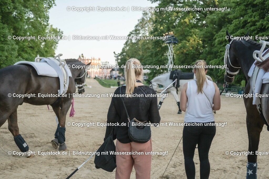 ZFC_4157 | equistock