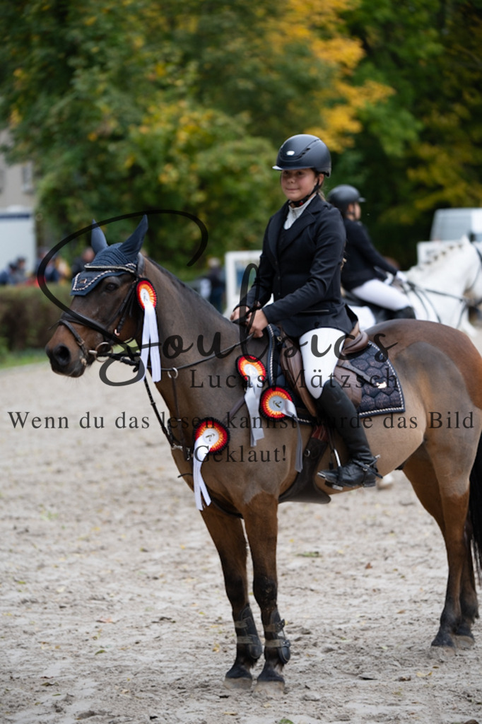 A7V09835 | Turnier/Reitfotograf