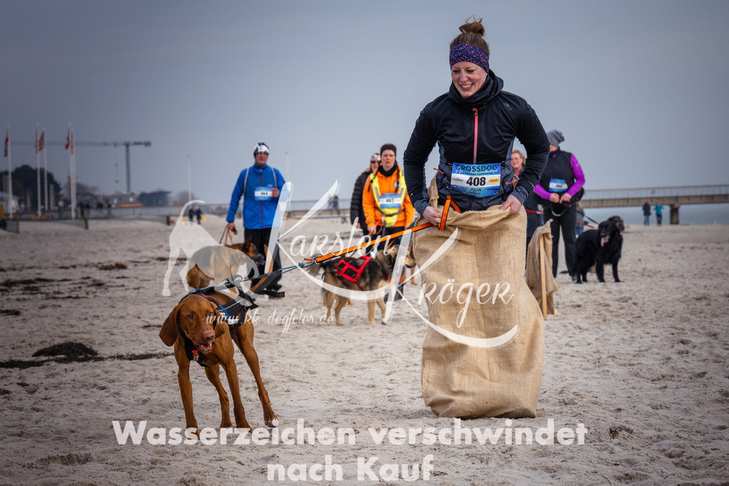 1303_ZZ98229 | kk-dogfotos