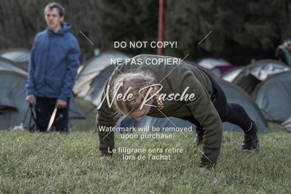 NR__1606 | nelerasche