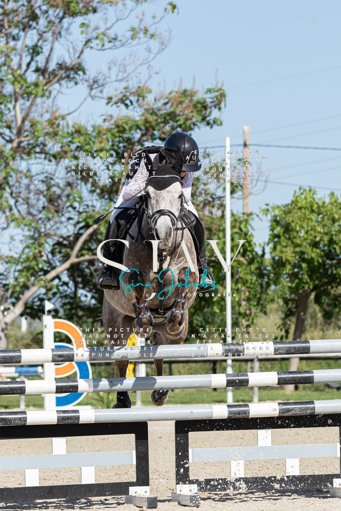 IMG_1026 | s-jay-photography - Realized with Pictrs.com