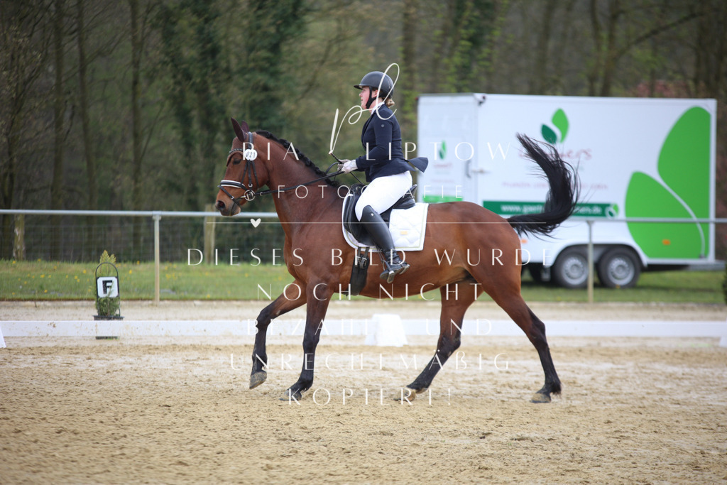 IMGT5302 | pl-fotografie