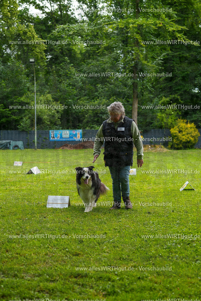 @allesWIRTHgut_Tierfotografie - www.allesWIRTHgut.de - 7R502798 | Professionelle Tierfotografie in Mönchengladbach von Daniel Wirth (allesWIRTHgut). Liebevolle & natürliche Bilder von Hunden & Katzen für unvergessliche Erinnerungen.