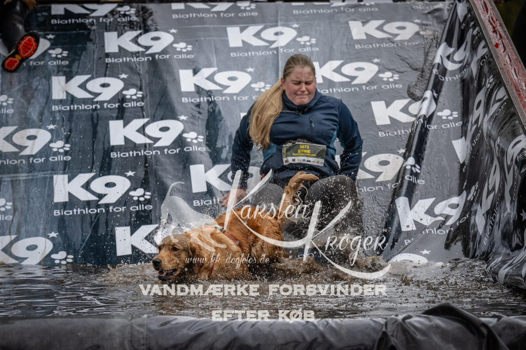 1203_ZZ94148 | kk-dogfotos