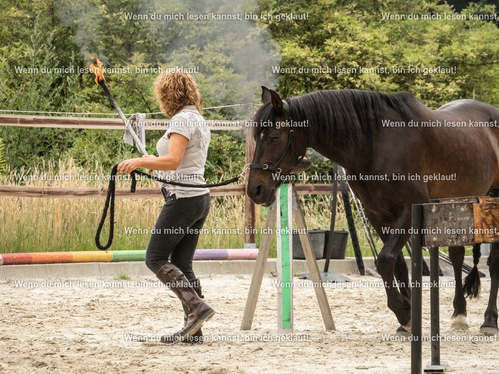 598A7723 | photographylinaismer - Realisiert mit Pictrs.com