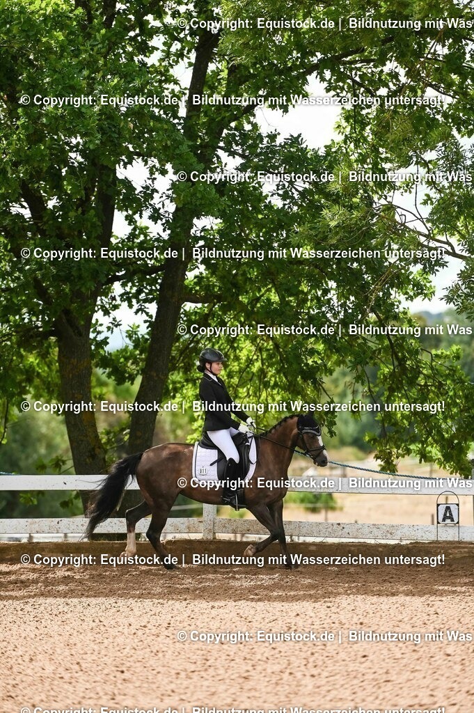 20230716_10-1_Reiter-WB Schritt - Trab - Galopp_0189 | equistock