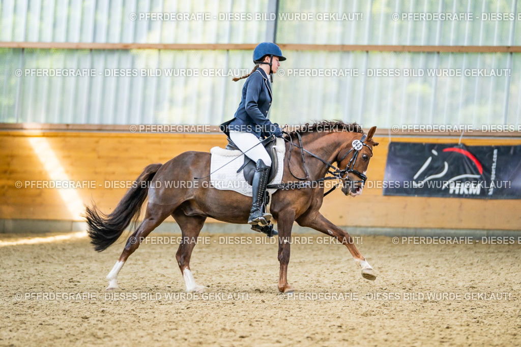 DSC03728 | Pferdegrafie