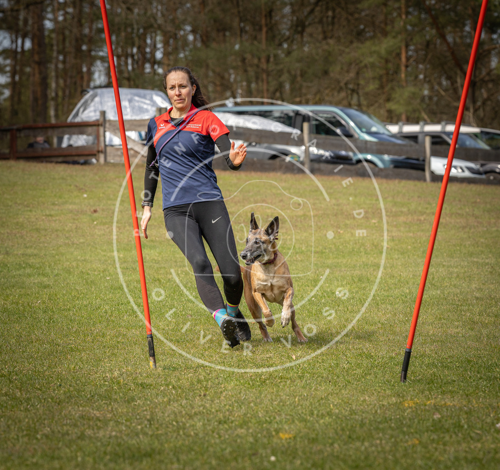 Pfotenfotografie_DV3A7449 | Hundefotografie, Tierfotograf, Pfotenfotografie, Fotoshooting Hund, Hunde Portrait, Hundesport, Hundeportraits, Heideshooting, Hunde, Sportfotograf, Hundefotograf, Turnierhundsport, THS,  - Realisiert mit Pictrs.com