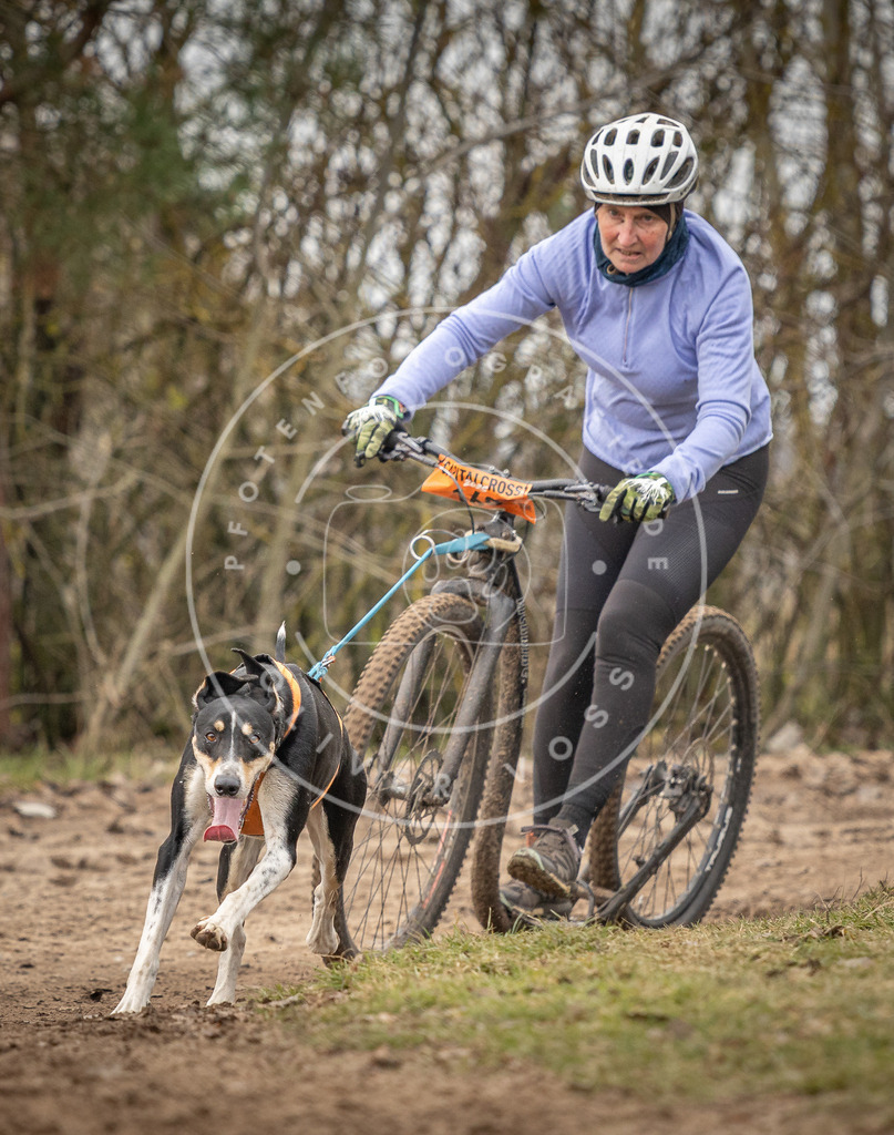 Pfotenfotografie_DV3A9627 | Hundefotografie, Tierfotograf, Pfotenfotografie, Fotoshooting Hund, Hunde Portrait, Hundesport, Hundeportraits, Heideshooting, Hunde, Sportfotograf, Hundefotograf, Turnierhundsport, THS,  - Realisiert mit Pictrs.com