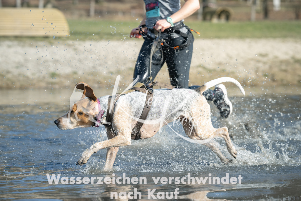 1400_ZZ99474 | kk-dogfotos