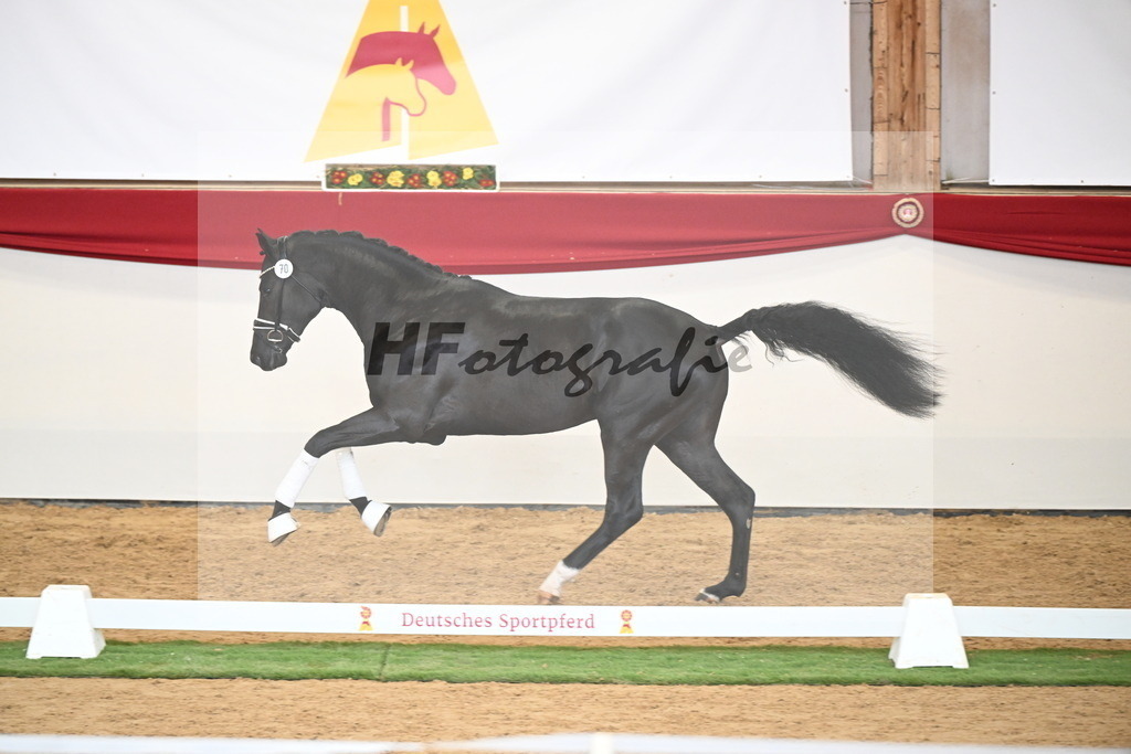 Kat.-Nr. 70 v. Iron_Klausing_2250526 | hf-fotografie - Realisiert mit Pictrs.com