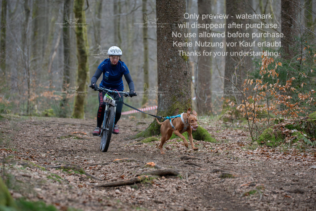 Bike_So-182 | stephaniefillaphotographie - Realisiert mit Pictrs.com