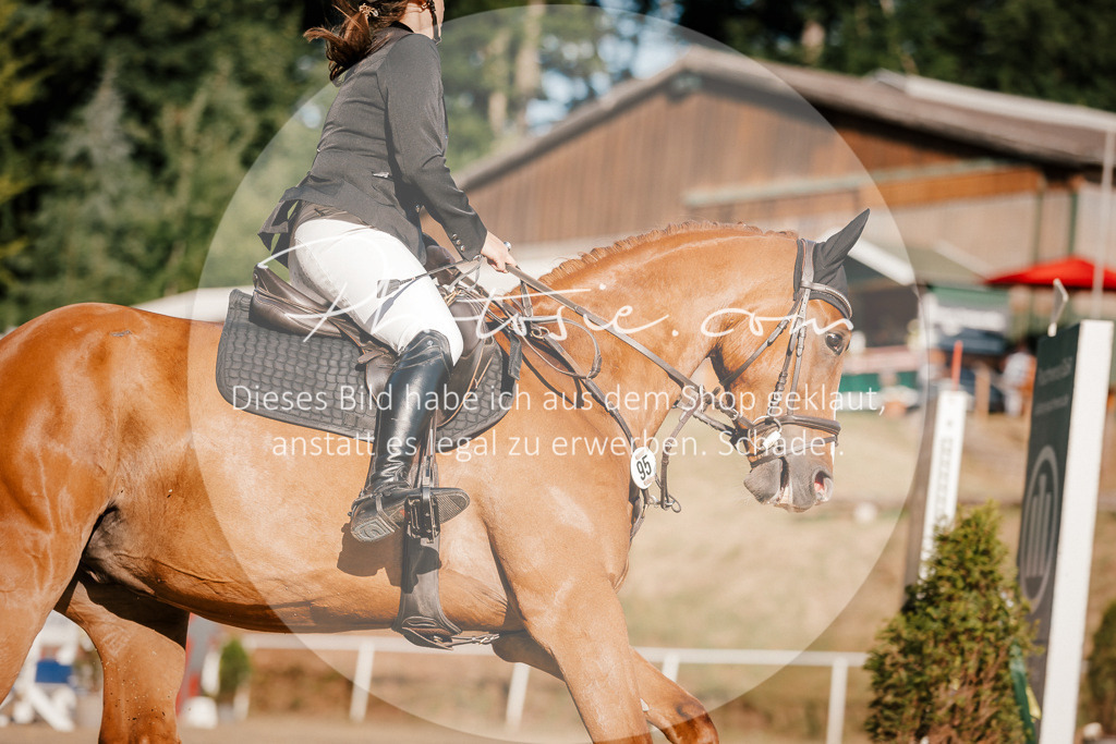 3I6A6169 | Stimmungsvolle Portraits und Reitsportfotografie im Ruhrgebiet und im Münsterland.

Pferdefotografie, Hundefotografie, Tierfotografie, Reportagen, Portraits von Tier und Mensch, Turnierfotografie in Bochum, Recklinghausen, Marl, Haltern am See, Dülmen.. - Realisiert mit Pictrs.com