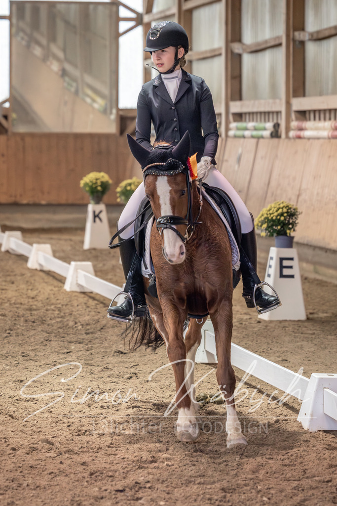 20251011-_3LI0871 | Tierfotografie Pferde, Hunde, Katzen, Haustiere.
Turnierfotografie Reitturniere, Reiten, Springreiten, Dressur in Hanau, dem Main-Kinzig-Kreis und dem Rhein-Main- Gebiet um Frankfurt