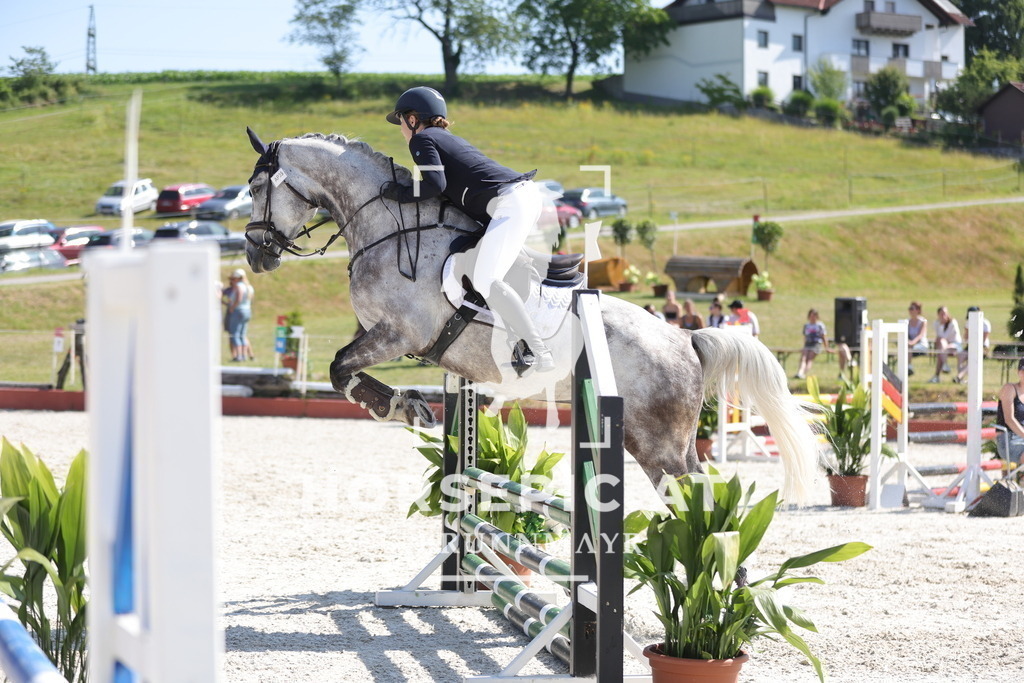 0P6A7755 | Willkommen bei Brunnmayr - Design & Fotografie – Ihrem Spezialisten für Reitturniere und Pferdeveranstaltungen in Oberösterreich, Salzburg und Bayern! Seit über 17 Jahren sind wir leidenschaftlich dabei.