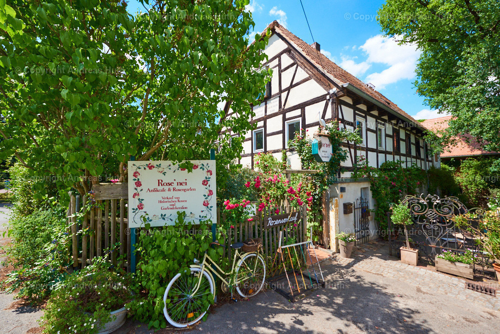 Die Rose _nei in Birmenitz | Bedeutsame Landschaften Deutschlands - Realisiert mit Pictrs.com