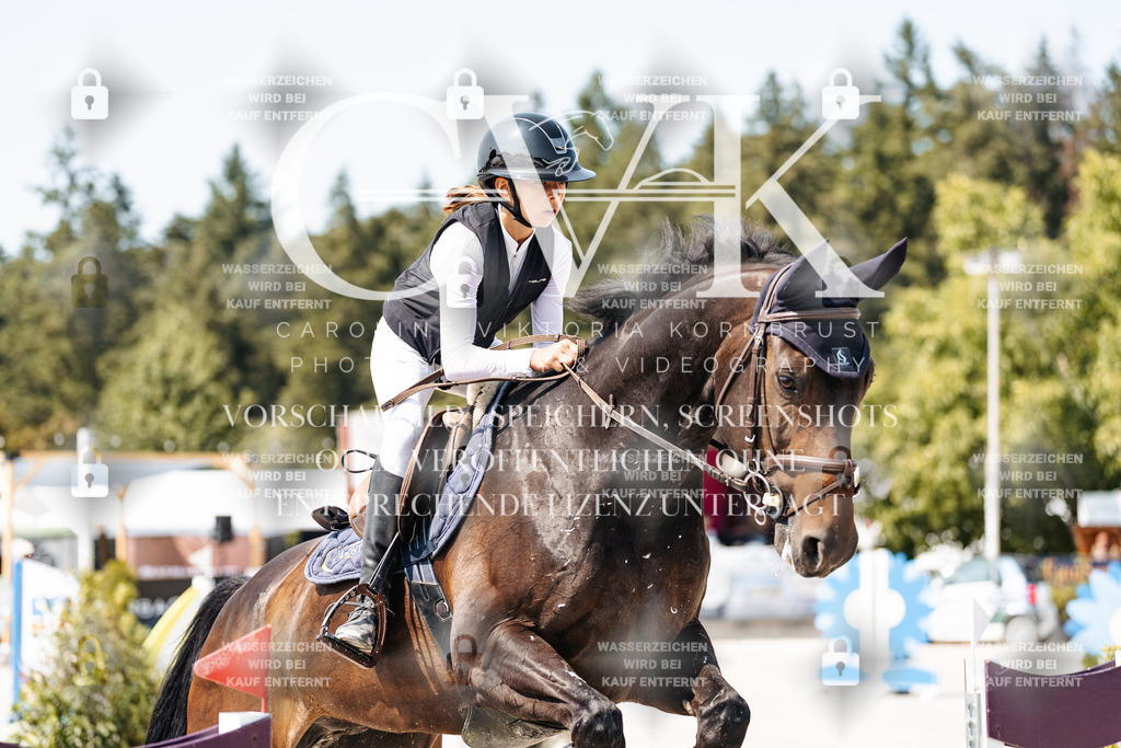 CK901172 | Turnierfotografie Pferdefotografie Trier Rheinland-Pfalz Pferdesport Reitsport Tierfotografie Sportfotografie Pferdevideo Pferdevideografie Equestrianvideography equestrianphotography  - Realisiert mit Pictrs.com