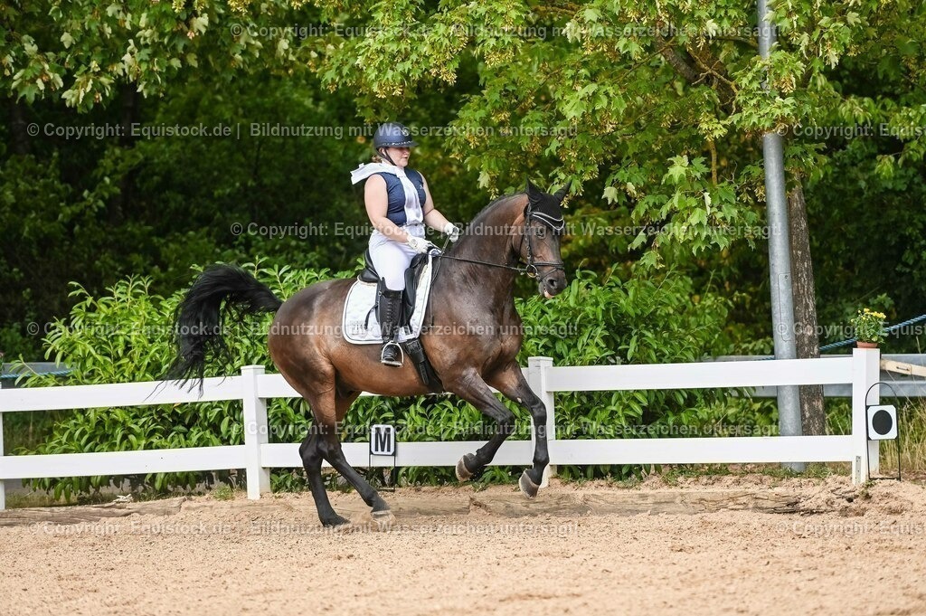 20230715_02_Dressurreiterprüfung Kl.L_0380 | equistock