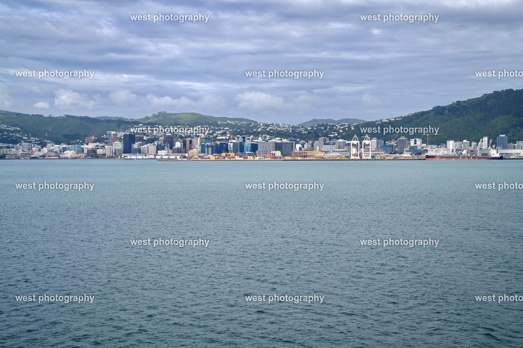 Wellington 2 - NZL 2024 | west photography - Realisiert mit Pictrs.com