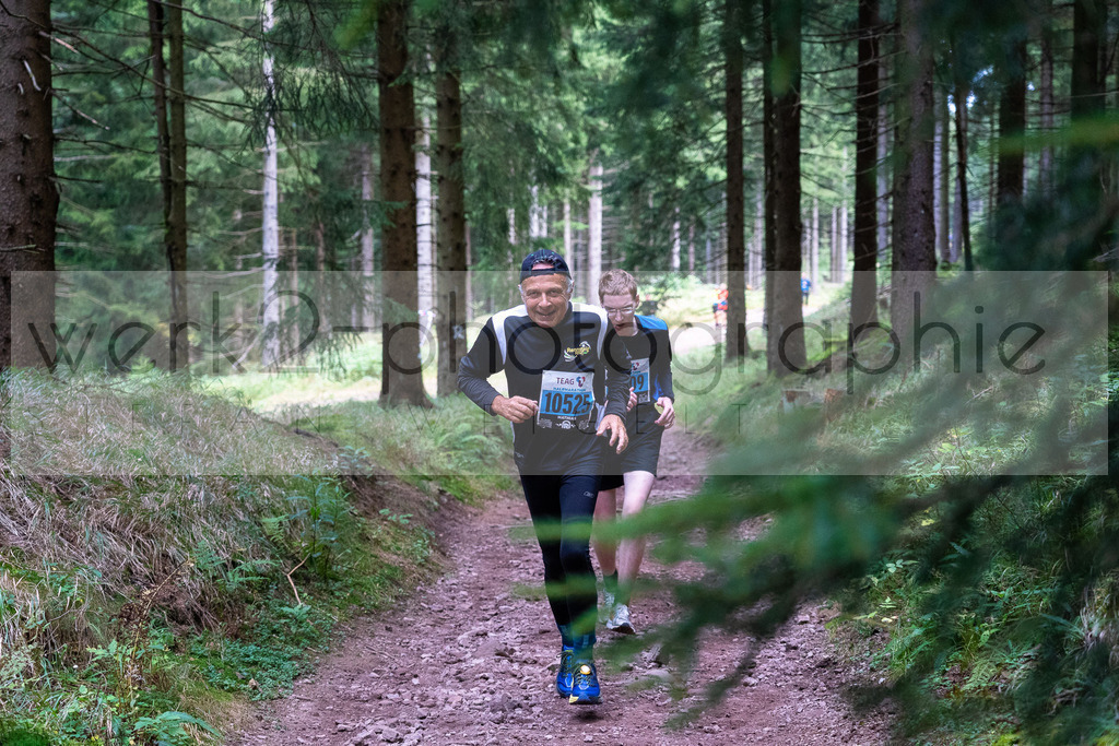 Rennsteiglauf 2021 | Marathon Neuhaus/Rwg. - Schmiedefeld