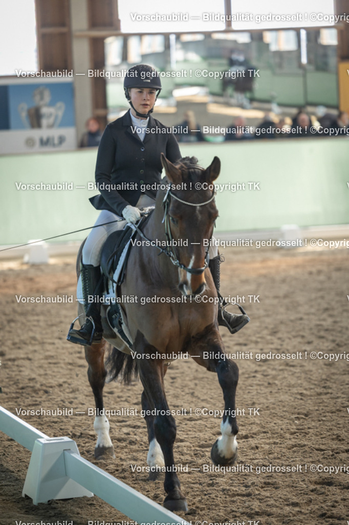 _D5A8382 | Emotionale Pferde- & People-Fotografie rund um Heidelberg, Leimen & Umgebung. Natürliche Fotos von Pferd, Mensch & Familie. Jetzt Termin sichern!