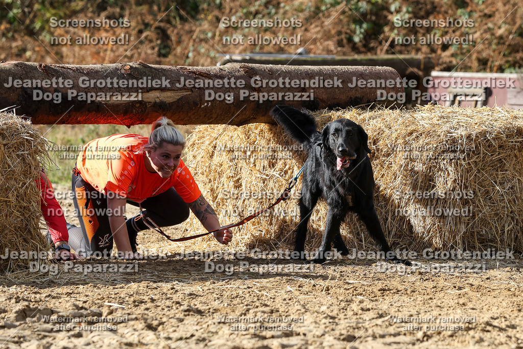 Dog Paparazzi - Strongdog 10-25-4951 | Dog Paparazzi Jeanette Grottendiek Fotografie & Videografie - Realisiert mit Pictrs.com