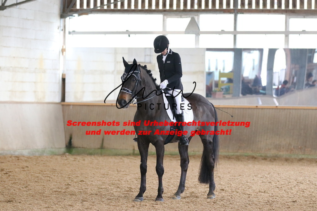 IMG_0080 | lmwpictures - Realisiert mit Pictrs.com