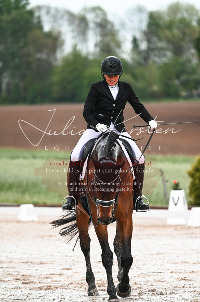 DSC_4222 | Pferde- und Turnierfotografie in Westsachsen. Pferdeportraits, Auftragszeichnungen und intuitive Kunst.